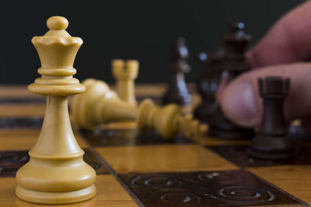 Chess photographed on a chessboardの写真素材
