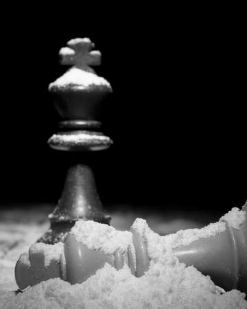 Chess photographed on a chessboardの写真素材