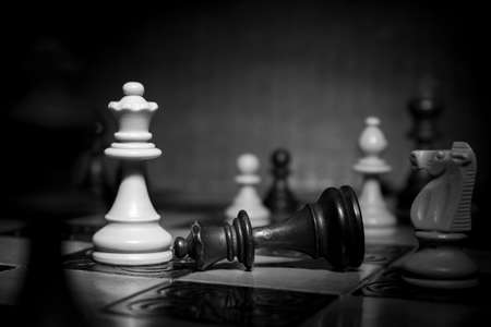 Chess photographed on a chessboardの写真素材