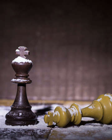 Chess photographed on a chessboard