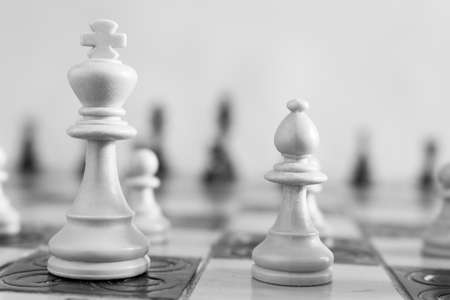 Chess photographed on a chessboardの写真素材