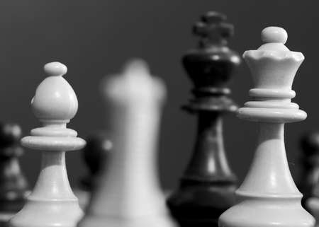 Chess photographed on a chessboardの写真素材