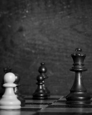 Chess photographed on a chessboardの写真素材