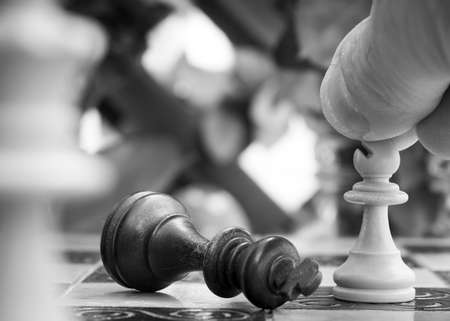 Chess photographed on a chessboardの写真素材