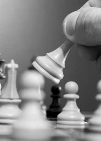 Chess photographed on a chessboardの写真素材