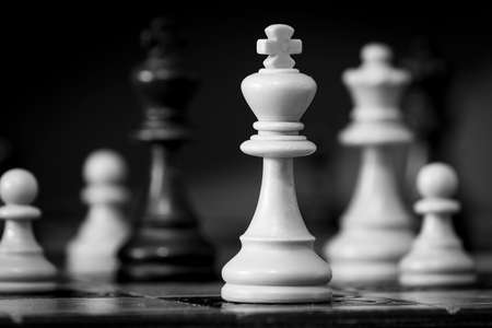 Chess photographed on a chessboardの写真素材