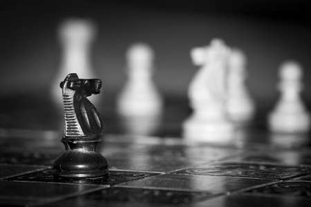 Chess photographed on a chessboardの写真素材