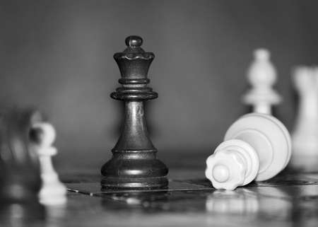 Chess photographed on a chessboardの写真素材