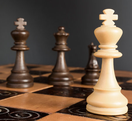 Chess photographed on a chessboardの写真素材