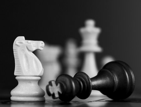 Chess photographed on a chessboardの写真素材