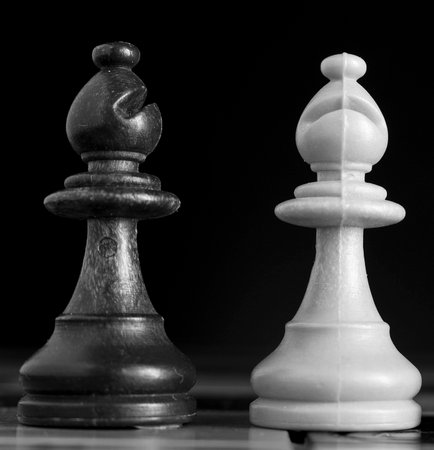 Chess photographed on a chessboardの写真素材