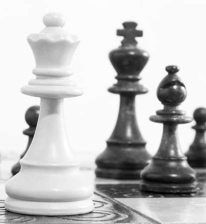 Chess photographed on a chessboardの写真素材