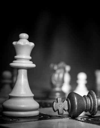 Chess photographed on a chessboardの写真素材