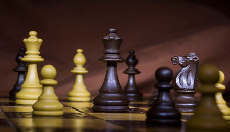 Chess photographed on a chessboardの写真素材