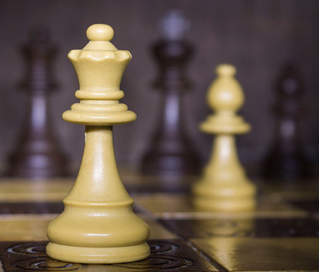 Chess photographed on a chessboardの写真素材