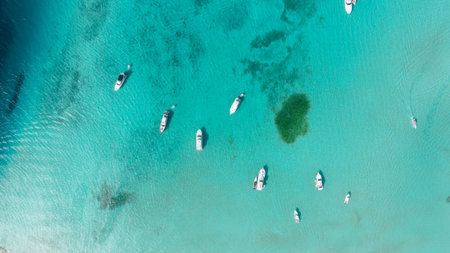 bay of the caribbean sea with beautiful white sand