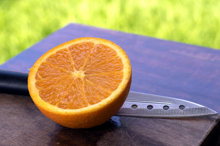 sweet Chilean orange, cut on a wooden board to be servedの写真素材