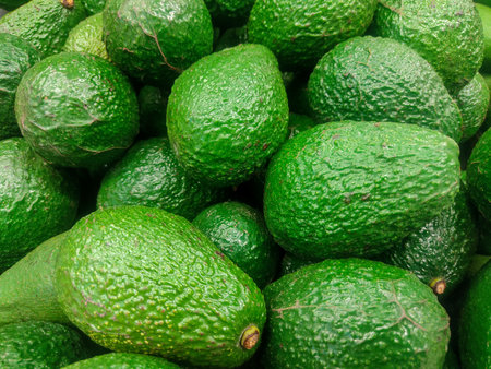 Fresh ripe green avocados background. Close up of avocados.の写真素材