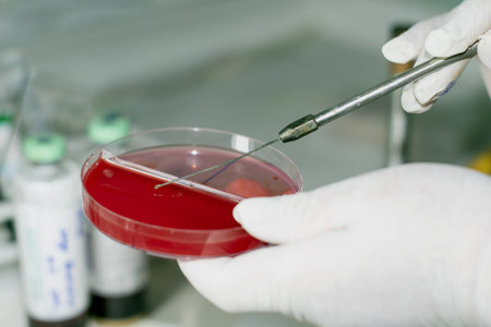 Scientist holding Petri dish with blood sample in laboratory, closeupの写真素材