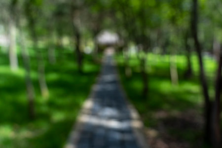 Blurred image of a walkway in the park for background usage.の写真素材