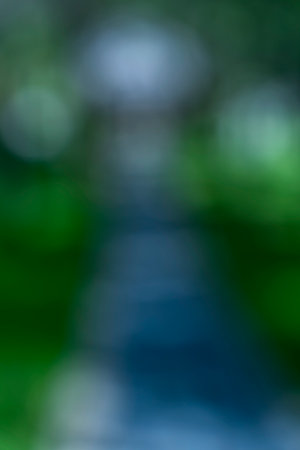abstract green bokeh background from nature under tree shade.の写真素材