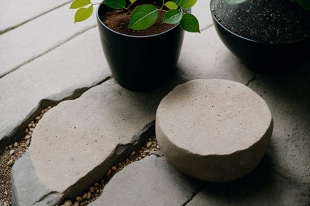 Plant pot with soil and pebble on the floor.の素材
