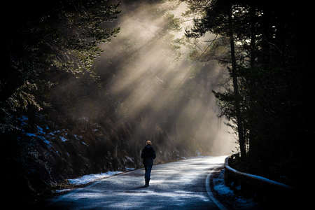 Bucolic scene of a person walking along a charming little mountain road in winter with fog penetrated by the sun's rays. Beautiful contrast of light and shadow producing silhouettesの写真素材