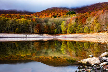 Colorful autumn forest landscape in Montseny in Barcelona, with its ocher, orange, brown, red, yellow and green colors. Forest reflected in the lake.の写真素材