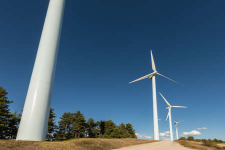 Wind farm, modern windmills on a bright and sunny dayの写真素材