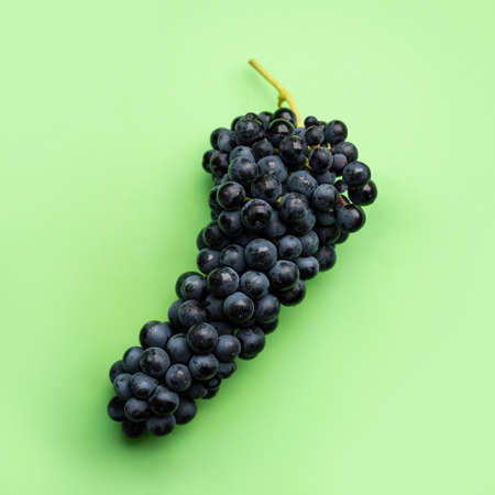 Cluster of grapes on a flat green backgroundの写真素材