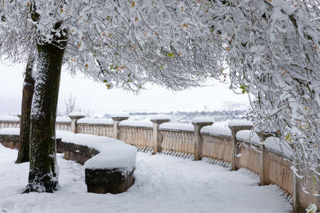Snowy urban park with benches and white treesの写真素材