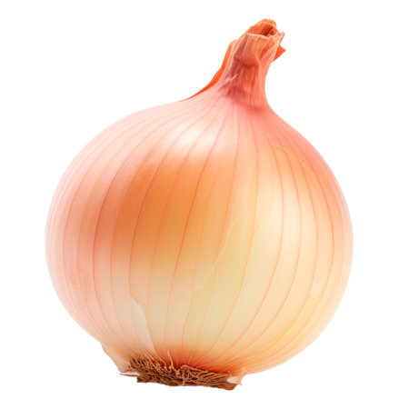 Isolated single onion with transparent backgroundの素材