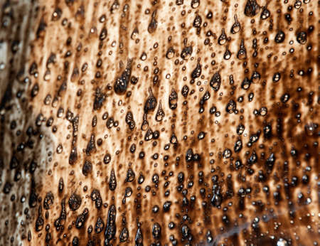 Image of oil stains and dropsの写真素材