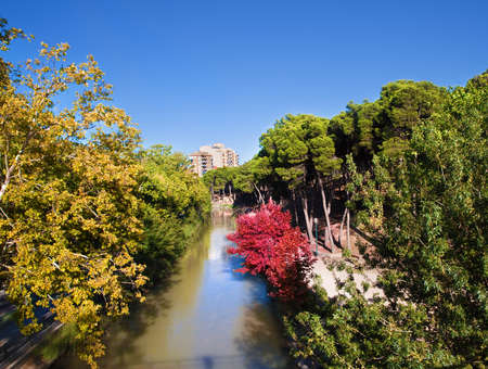 Trees and river in a parkの写真素材