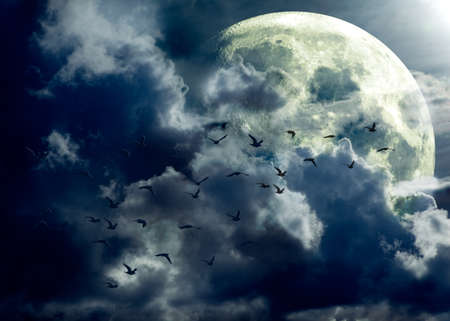 full moon landscape and flock of birdsの写真素材