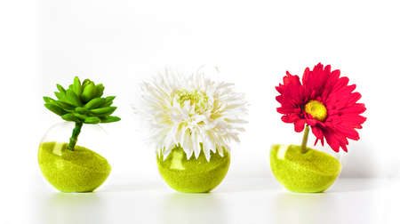 Colorful spring flowers in bright vases isolated on white 