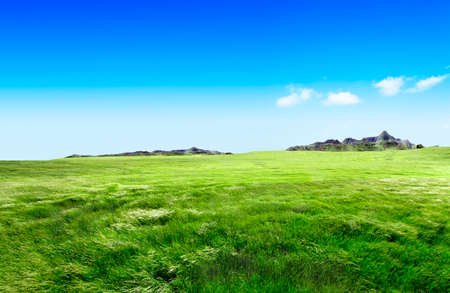 Meadow landscape.Green grass and mountainsの写真素材