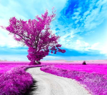 Surreal tree and dreamscape.Road through the fieldsの写真素材