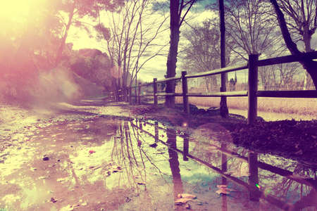 Autumn rural road,fence and trees.Puddle after rain in autumn.Vintage style,retro effectの写真素材