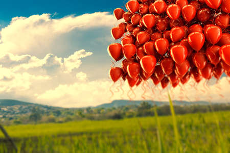 Dreamscape outdoor and balloons.colorful balloons flying over blue sky.の写真素材