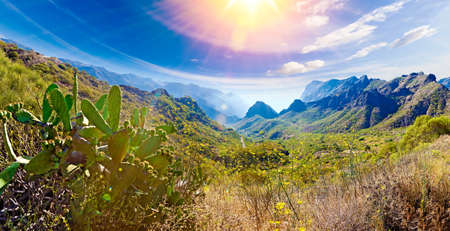 Masca valley.Canary island.Tenerife.Scenic mountain landscape.Cactus,vegetation and sunset panorama in Tenerifeの写真素材