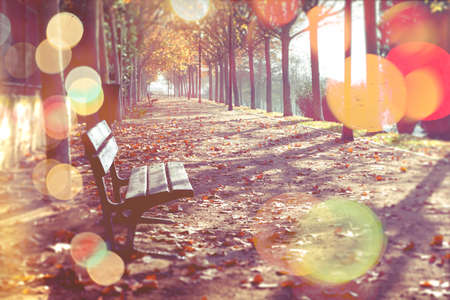 Park bench on fall in orange toned.Abstract autumn backgroundの写真素材