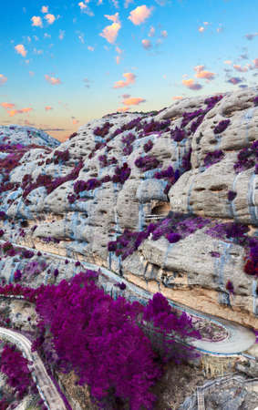 Surreal landscape.Scenic forest and mountains.Natural scenery scene in purple toneの写真素材