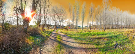 Scenic nature landscape and path. Colorful meadow and forest scenery.Beautiful natural landscape...
