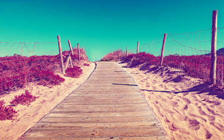 Path of wooden slats towards the beach.Vivid grass and vegetation. Dreamscape in coastline background.delightful scenical landscape in beachの写真素材