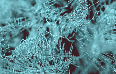 Macro image of microbes and cells.Biotechnology and genetic