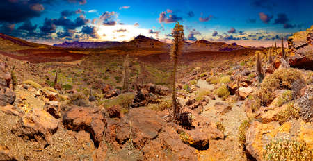 Colorful scenic landscape of sunset in Tenerife national park of Teide.Alto de Guajara.Canary island.の写真素材