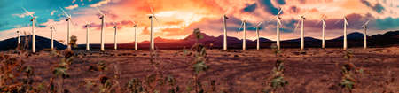 Wind mills farm and sunset landscape.Renewable energy and wind turbines.