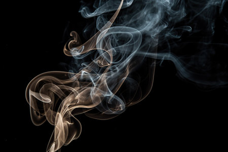 Abstract backdrop with stains of white incense smoke over black background.の素材