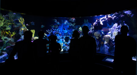 Family silhouettes looking at aquarium fish.の写真素材